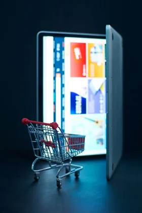 wordpress woocommerce sanal pos entegrasyonu